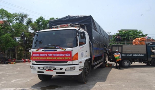 Bộ Nông nghiệp và Môi trường xuất cấp vắc xin Lở mồm long móng dự trữ quốc gia hỗ trợ tỉnh Lào Cai phòng, chống dịch bệnh động vật